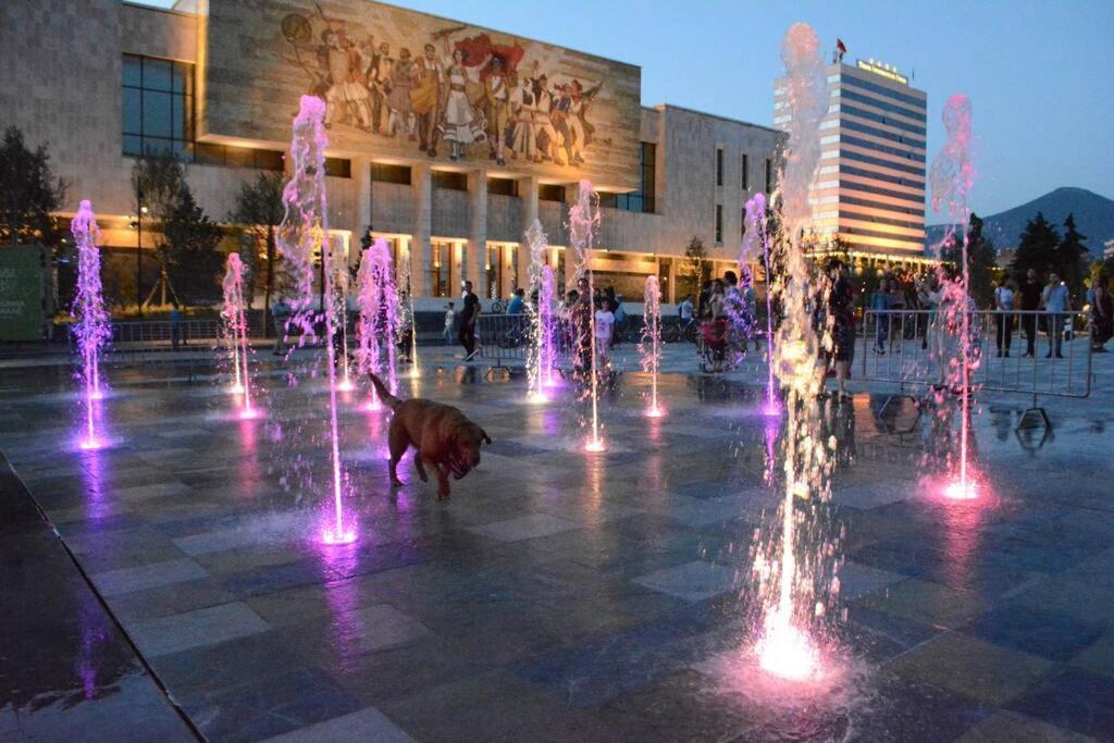 "Tata'S New Home!" Tirana Kültér fotó